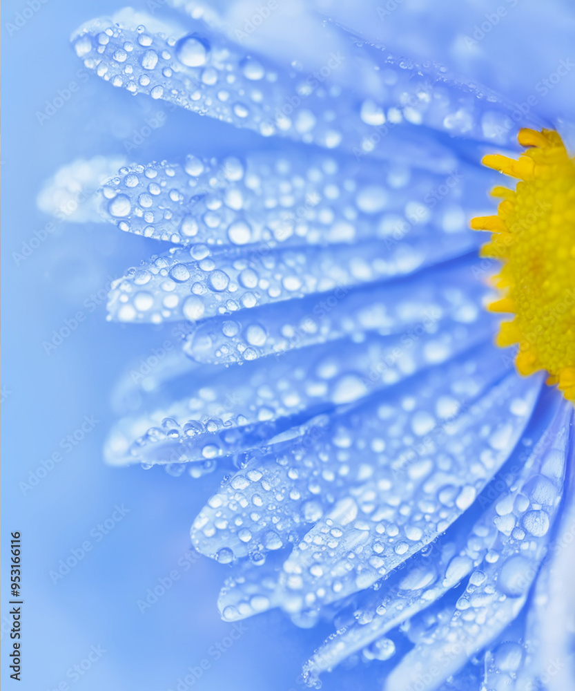 Wall mural spring flowers rain drops, abstract blurred background flowers fresh rain