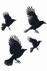 Fototapeta premium A group of black birds soaring through the air