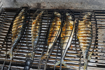 5 Makrelen braten in der Fischzange auf dem Grill, ganze Fische mit Haut grillen.