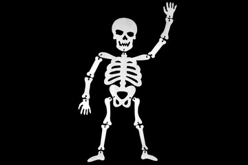 Halloween decoration skeleton waving greeting hand isolated on black background, Halloween is coming, friendly skeleton made of individual bones wired together