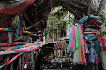 A sacred tree adorned with vibrant, colorful fabrics stands as a focal point in a spiritual...