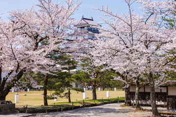 日本さくら名所100選　福島県会津若松市　鶴ヶ城（会津若松城）の桜