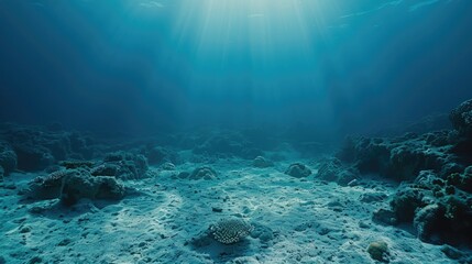 Fototapeta premium Scenic underwater view of a coral reef with sunlight filtering through the water