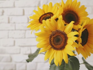 Obraz premium Sunny Splendor: A Vibrant Bouquet of Sunflowers Framed by a White Brick Wall