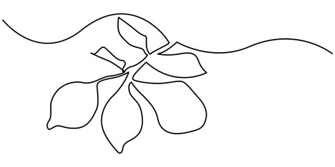 Lemon branch with leaves vector. One line continuous hand drawn illustration. Linear silhouette, citrus fruit icon. Minimal design, print, banner, card, wall art poster, brochure, logo, menu, Drawing
