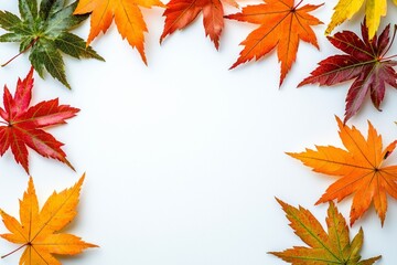 Fototapeta premium Autumn Maple Leaves Flat Lay White Background created with Generative AI