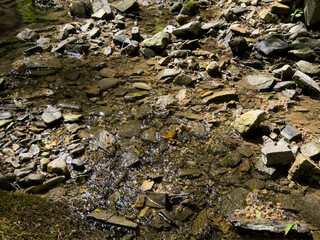 The river runs along the rocky cliffs in the mountains