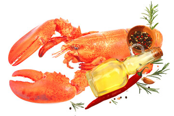 Lobster on a white background isolated