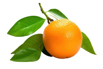A bright orange with a green leaf attached isolated on white background