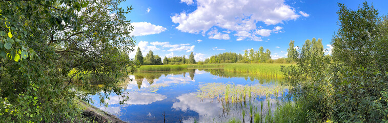Lake in mixed forest in summer. Nature