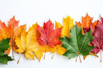 Fototapeta premium Autumn Maple Leaves Flat Lay White Background created with Generative AI