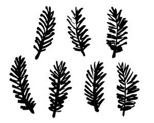 Vector set of spruce branches, Christmas decorations. Hand drawn botanical elements isolated on white background.