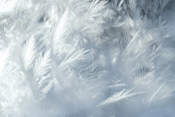 Frost patterns on glass simulating feathers