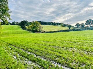 field and blue sky