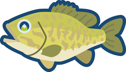 かわいいコクチバスのイラスト