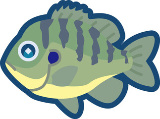 かわいいブルーギルのイラスト