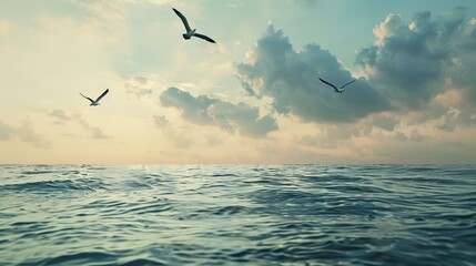 Fototapeta premium birds flying over the sky wallpaper