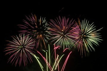 Spectacular Multicolored Firework Bursts in Dark Sky