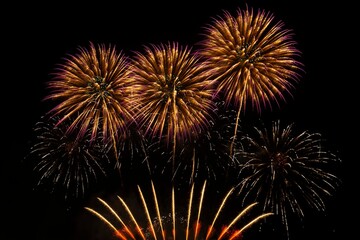 Spectacular Multicolored Firework Bursts in Dark Sky