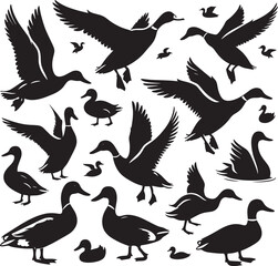 Obraz premium Duck Silhouette isolated on white background Minimalist duck vector illustration