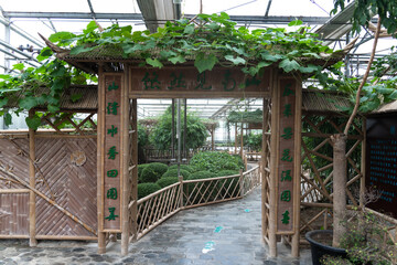 gate of greenhouse with vegetable