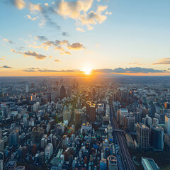 Fototapeta premium The urban jungle of tokyo is bathed in the warm glow of the setting sun, creating a captivating view of the city's skyline
