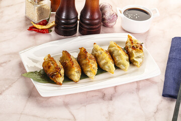 Fried Japanese stuffed dumplings - Gyoza