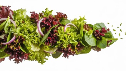 Fresh Salad Greens with Red Onion and Seeds.