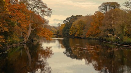 Scenic river view with autumn trees reflecting on calm water, a peaceful natural landscape in warm fall colors.
