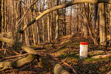 Dolina Popradu, Popradzki Park Krajobrazowy, wiosna