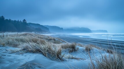 landscape photo of long beach, washington, pacific northwest beach, sand dunes, 
