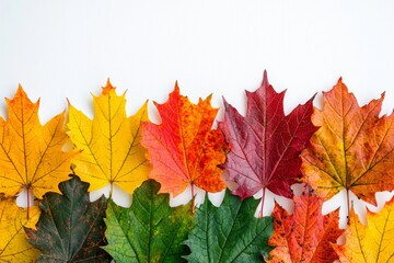 Fototapeta premium Autumn Maple Leaves Flat Lay White Background created with Generative AI