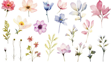 Set of watercolor wildflowers painting isolated on clear png background and transparent background. Fresh and nature concept for nature decorative and flower element, AI generative.	
