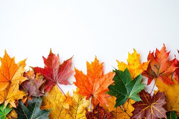 Fototapeta premium Autumn Maple Leaves Flat Lay White Background created with Generative AI