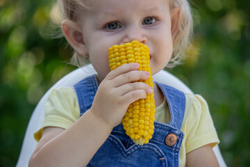 little girl eats corn. Selective focus