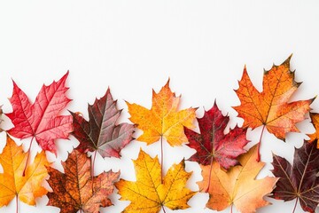 Fototapeta premium Autumn Maple Leaves Flat Lay White Background created with Generative AI