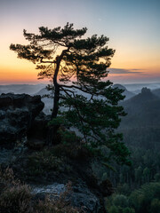 its dawning in paradies - Es dämmert im Paradies