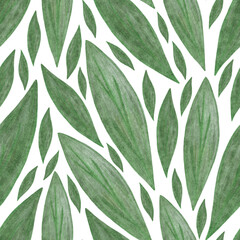 Cute Floral Seamless Pattern with Cornflower Leaves.