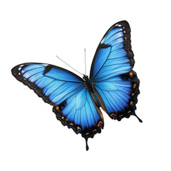 A stunning blue butterfly displays its intricate wings, highlighting vivid colors against a pure PNG backdrop, beautiful blue butterfly on transparent background