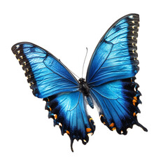 A striking blue butterfly rests elegantly against a pure PNG backdrop, highlighting its intricate wing patterns, beautiful blue butterfly on transparent background
