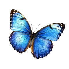 Obraz premium A striking blue butterfly displays its intricate wings while isolated against a pure PNG backdrop, beautiful blue butterfly on transparent background