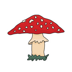 Amanita doodle toadstool mushroom. Vector fly agaric illustration on a white background