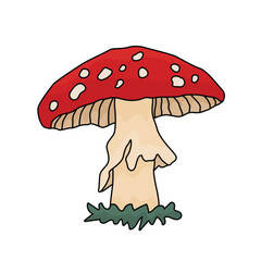 Hand drawn Amanita toadstool mushroom. Vector fly agaric isolated illustration on a white background