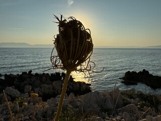 sunset on the beach