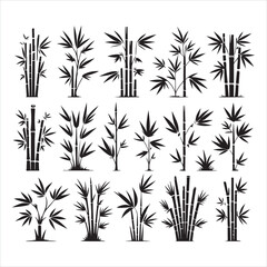 Set of bamboo silhouette on white background.
