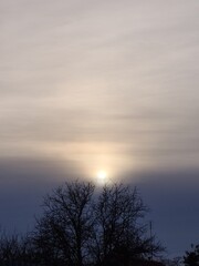 Serene Sunset Sky with Cirrus Clouds: A Perfect Background or Wallpaper

