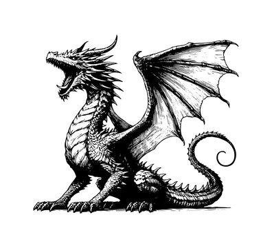 wyvern dragon hand drawn sketch vector