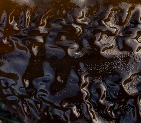 close up of seaweed