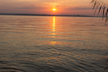 Fototapeta premium sunset on the beach