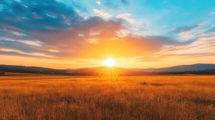 Obraz premium A vibrant sunrise illuminates a field of golden grass, casting long shadows across the landscape.